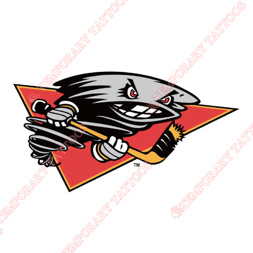 Cincinnati Cyclones Customize Temporary Tattoos Stickers NO.9241